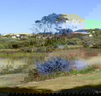Centennial Park Beachport - Accommodation Bookings