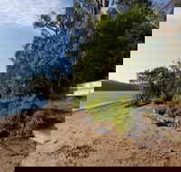 Clyde River National Park - Accommodation Bookings