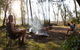 Clyde River National Park - thumb 1