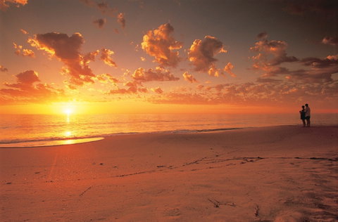 Coastal Art Trail - Accommodation Bookings 0