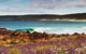Coastal Art Trail - thumb 2