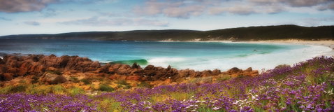 Coastal Art Trail - Accommodation Bookings 2