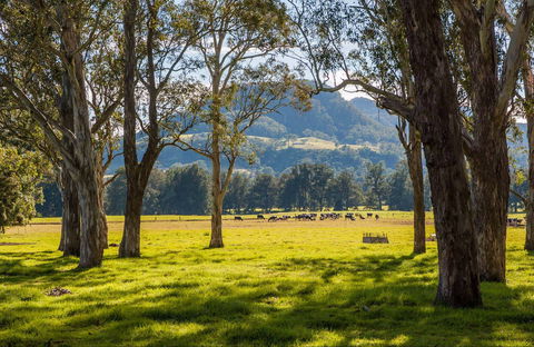 Coast To The Highlands Scenic Drive – Kangaroo Valley - Accommodation Bookings 0