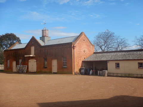 Cooma Cottage - Accommodation Bookings 1