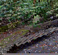 Coombadjha Nature Stroll - Accommodation Bookings