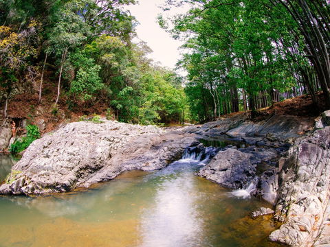 Currumbin Rock Pools - Accommodation Bookings 0