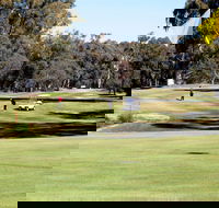 Deniliquin Golf Club - Accommodation Bookings