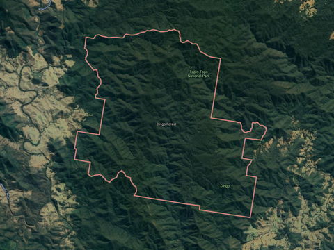 Dingo Forest - Accommodation Bookings 0