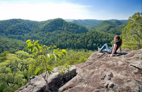 Dubbo Gully Loop Trail - Accommodation Bookings 0