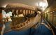 Eden Killer Whale Museum - thumb 0