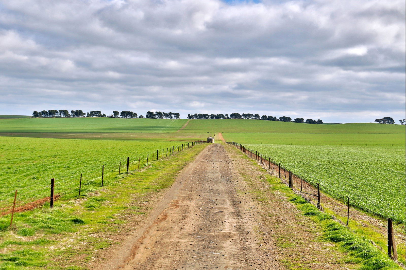 Eudunda SA Accommodation Bookings