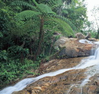 Finch Hatton - Accommodation Bookings