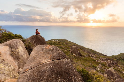 Fitzroy Island National Park - Accommodation Bookings 1
