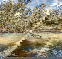 Flea Creek Picnic Area - Accommodation Bookings