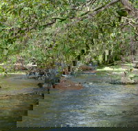 Florence Creek walk - Accommodation Bookings