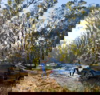 Forest Drive Murrumbidgee Valley National Park - Accommodation Bookings