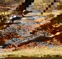 Freycinet Paintball and Campground - Accommodation Bookings