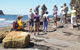 Gondwana Coast Fossil Walk - thumb 0