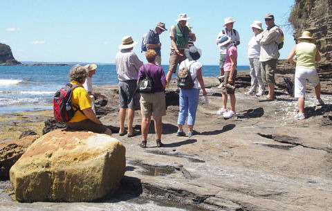 Gondwana Coast Fossil Walk - Accommodation Bookings 0