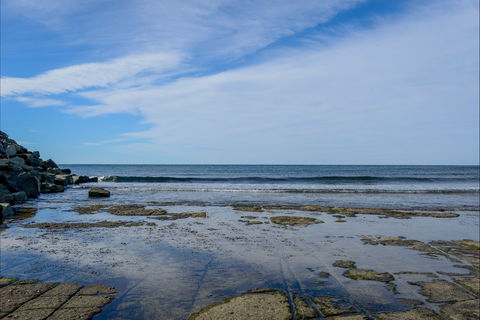 Gondwana Coast Fossil Walk - Accommodation Bookings 1