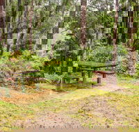 Goodenia Rainforest picnic area - Accommodation Bookings