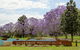 Governor Phillip Park - thumb 0