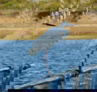 Groper Creek - Accommodation Bookings