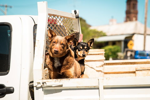 Harden Murrumburrah - Accommodation Bookings 0
