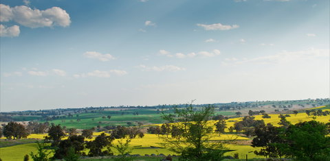 Harden Murrumburrah - Accommodation Bookings 1