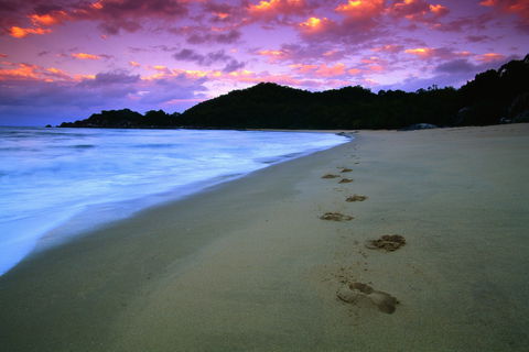 Hinchinbrook Island National Park - Accommodation Bookings 2