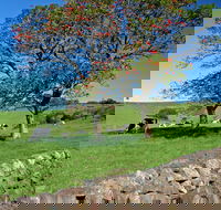 Historic Dry Stone Walls Kiama - Accommodation Bookings