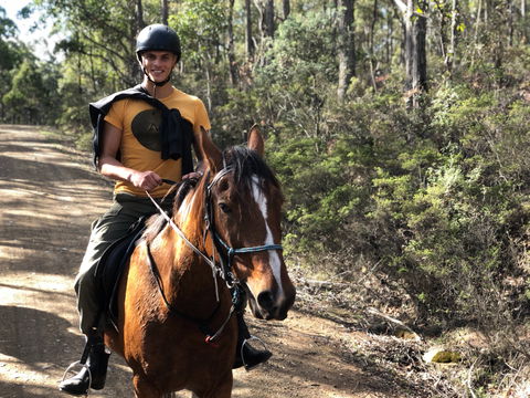 Horse Riding Tasmania - Accommodation Bookings 2
