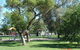 Inglewood Apex-Lions Park - thumb 2