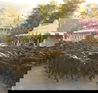 Jugiong - Accommodation Bookings