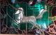 Kangaroo Valley Leadlights - thumb 1