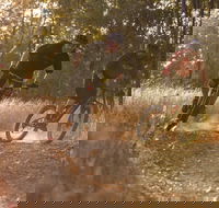 Kholo Gardens Trails - Accommodation Bookings