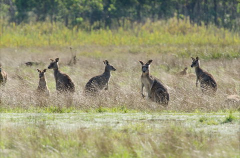 Kosciuszko National Park - Accommodation Bookings 2