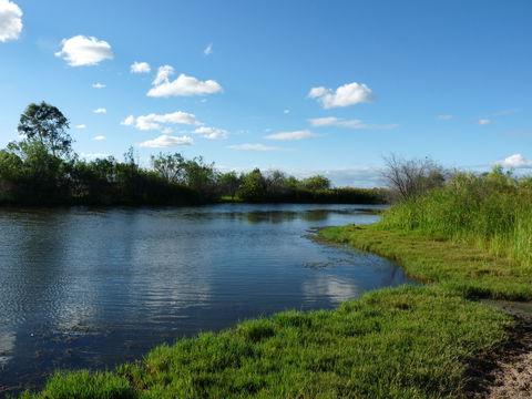 Lagoon Creek - Accommodation Bookings 2