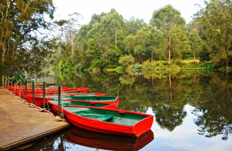 Lane Cove National Park - Accommodation Bookings 0