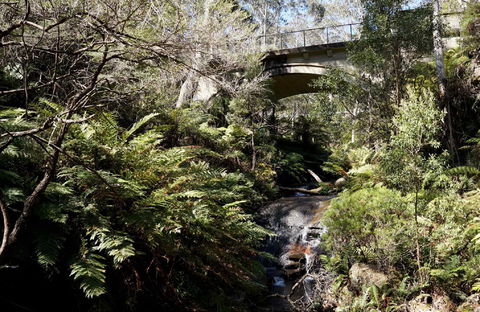 Leura Cascades - Accommodation Bookings 2