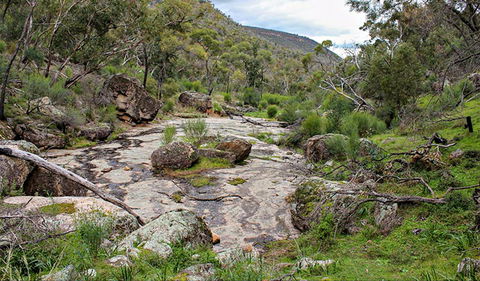 Lynchs Loop Trail - Accommodation Bookings 0