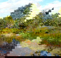 Mansfield Mullum Wetlands - Accommodation Bookings