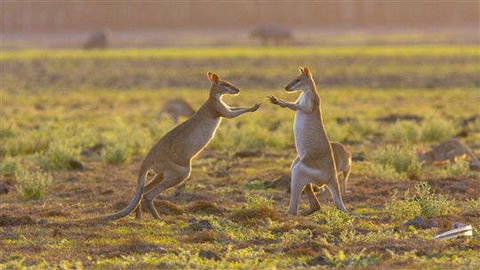 Mary River Area - Accommodation Bookings 0