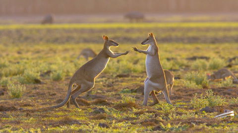 Mary River Area - Accommodation Bookings 1