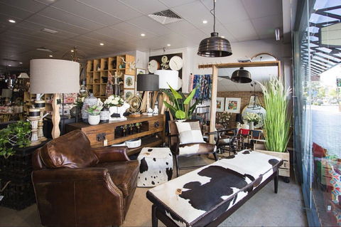 Mary And Tex Curious Emporium - Accommodation Bookings 0