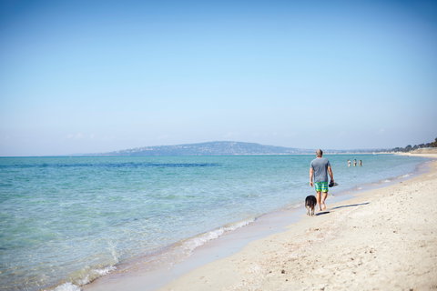 McCrae - Accommodation Bookings 1