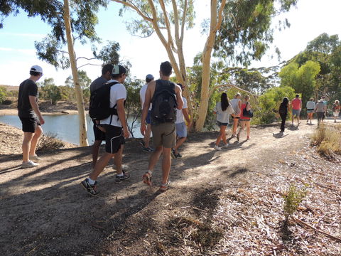 Merredin Railway Dam - Accommodation Bookings 1