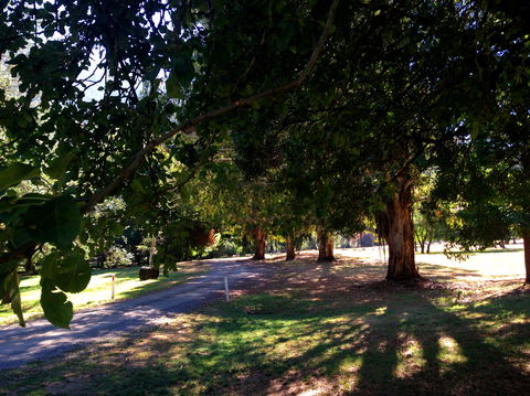 Mirimbah Park - Accommodation Bookings 0