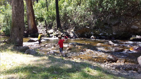 Mirimbah Park - Accommodation Bookings 1