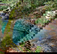 Mobong walking track - Accommodation Bookings